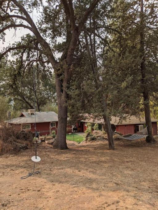 Sleeping Wolf Guest House Oakhurst Exterior photo